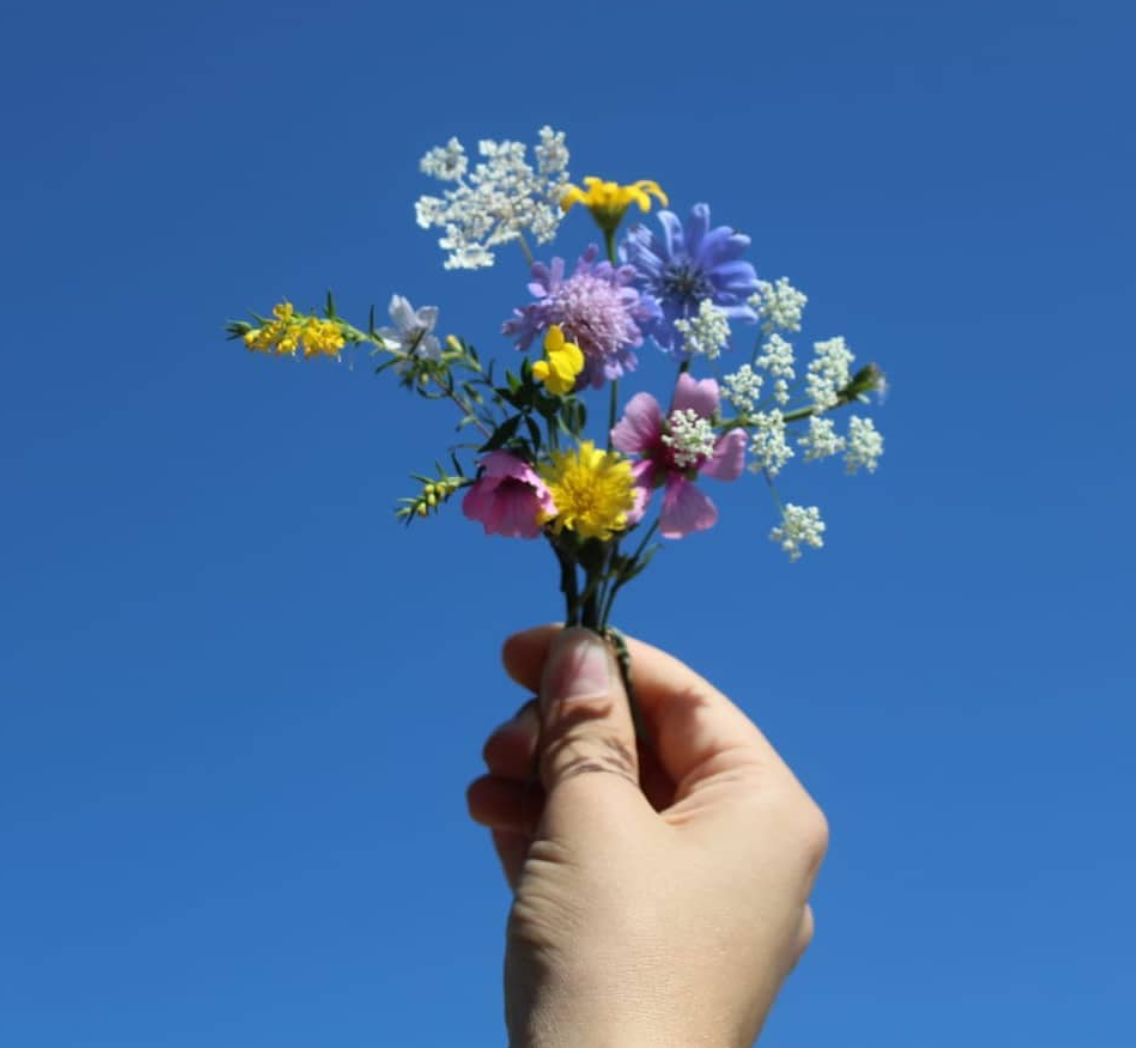 Instagram post thumbnail